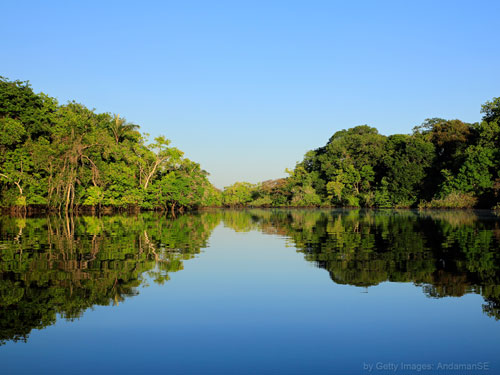 Facebook identifica militares como ‘chefes’ de perfis com desinformação sobre a Amazônia