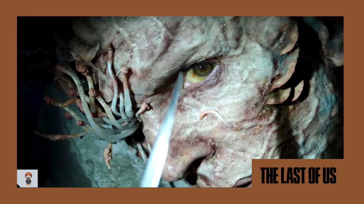 Fungo “zumbi” Cordyceps de The Last of Us pode infectar humanos