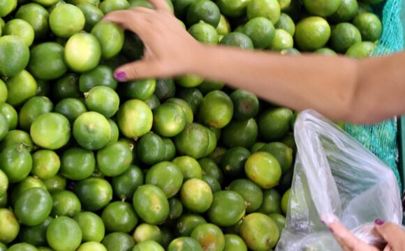 Ala do PT propõe taxar exportações do agro para baixar preço de alimentos